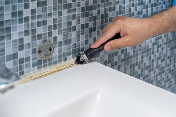 Best Professional Mold Removal  in Naples, TX