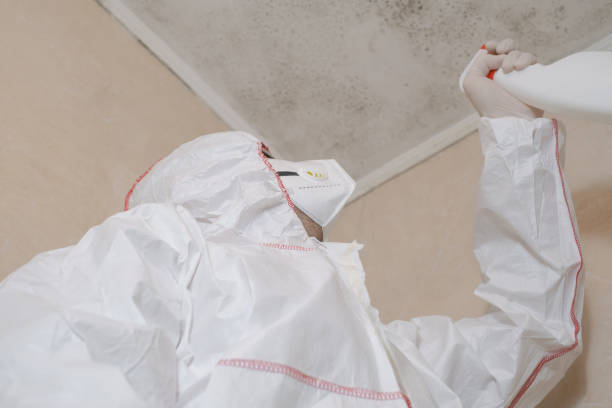 Best Attic Mold Removal  in Naples, TX