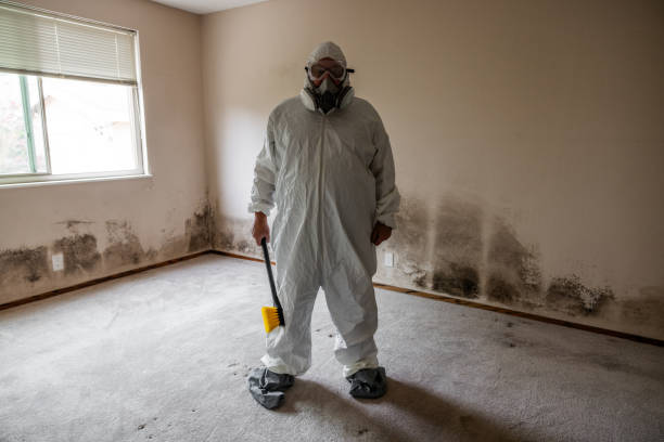 Best Crawl Space Mold Removal  in Naples, TX